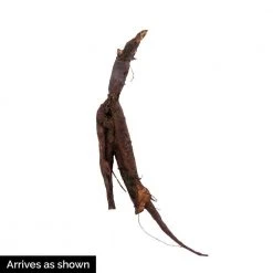 Spring Hill Nurseries Virginia Bluebells (Mertensia), Live Bareroot Perennial Plant (10-Pack) -Spring Hill Nurseries Shop spring hill nurseries perennials 88042 4f 1000