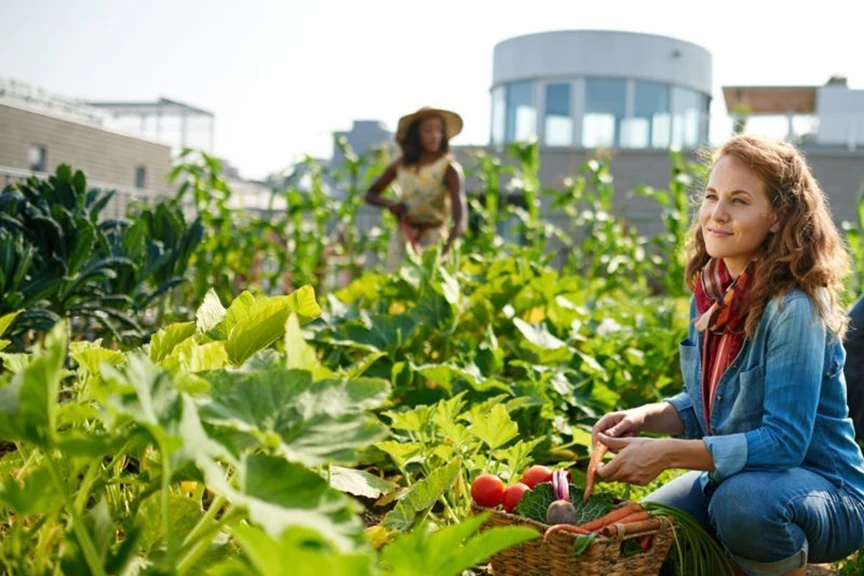 Spring Hill Nurseries Shop -Spring Hill Nurseries Shop 313